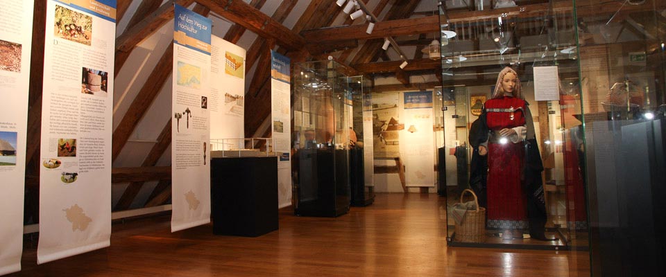 Slyder-2013-2-keltenausstellung