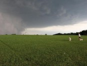 Hagelunwetter 2013